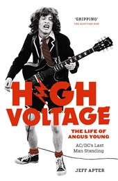 High Voltage