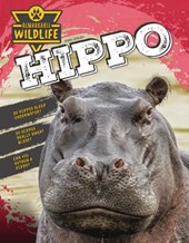 Hippo