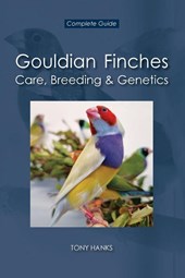 Gouldian Finches - Care, Breeding & Genetics