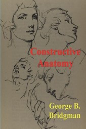 Constructive Anatomy