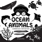 I See Ocean Animals