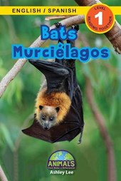 Bats / Murcielagos
