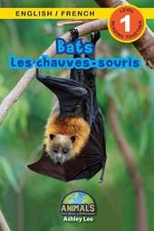 Bats / Les chauves-souris
