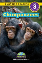 Chimpanzees