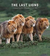 The Last Lions
