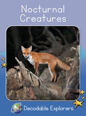 Nocturnal Creatures: Skills Set 8