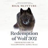 The Redemption of Wolf 302