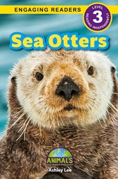 Sea Otters