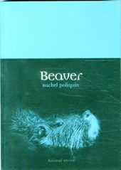 Beaver