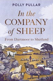 In the Company of Sheep