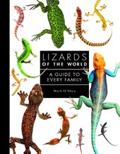 Lizards of the World