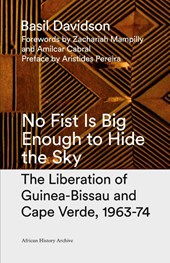 No Fist Is Big Enough to Hide the Sky