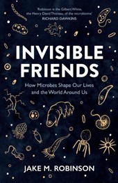 Invisible Friends
