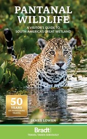 Pantanal Wildlife