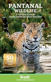 Pantanal Wildlife