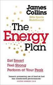 The Energy Plan