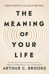 The Meaning of Your Life