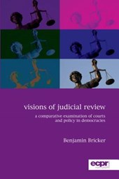 Visions of Judicial Review