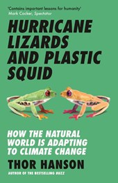 Hurricane Lizards and Plastic Squid