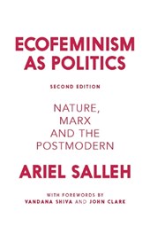 Ecofeminism as Politics