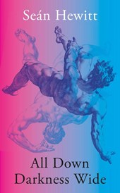 All Down Darkness Wide