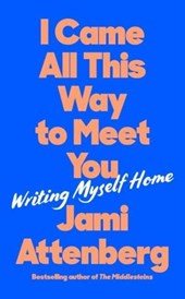 I Came All This Way to Meet You