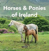 Horses and Ponies of Ireland