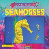 Seahorses