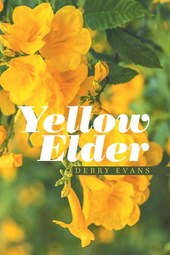 Yellow Elder