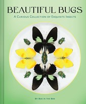 Beautiful Bugs