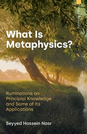 What Is Metaphysics?