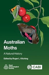 Australian Moths