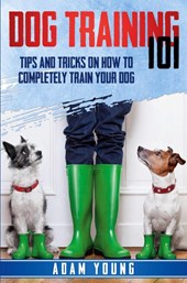 Dog Training 101