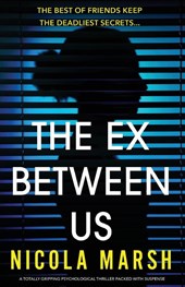 The Ex Between Us
