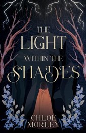 The Light Within the Shades