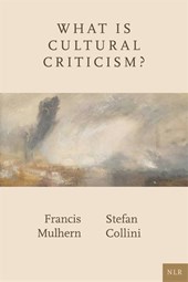 What Is Cultural Criticism?
