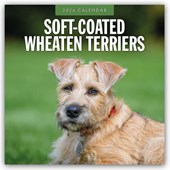 Soft-coated Wheaten Terriers 2026 Square Wall Calendar