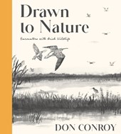 Drawn to Nature: Encounters with Irish Wildlife