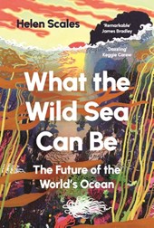 What the Wild Sea Can Be