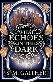 What Echoes in the Dark