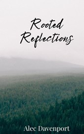 Rooted Reflections