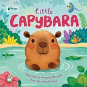 Little Capybara: Little Nature Stories