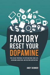 Factory Reset Your Dopamine