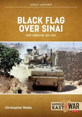 Black Flag over Sinai