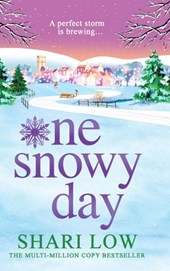 One Snowy Day