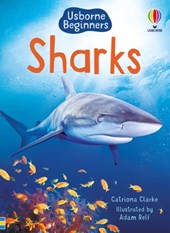 Sharks (Usborne Beginners)