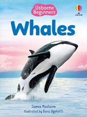 Beginners Whales