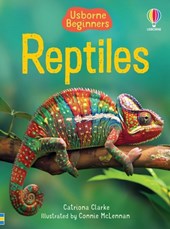 Reptiles