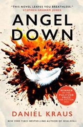 Angel Down