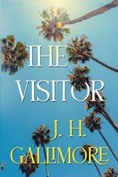 The Visitor